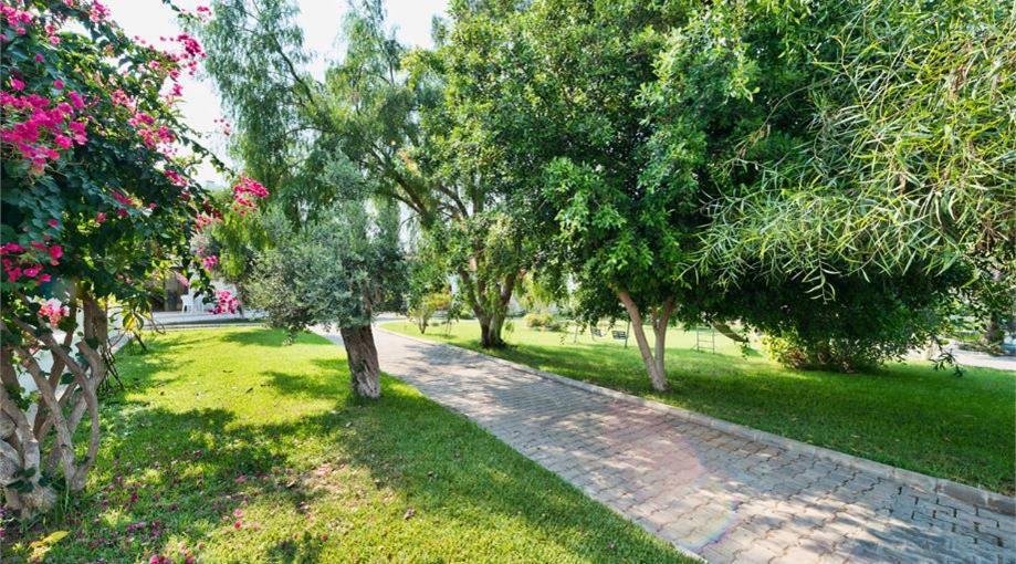 Bare Hill Holiday Apartments Krini Εξωτερικό φωτογραφία